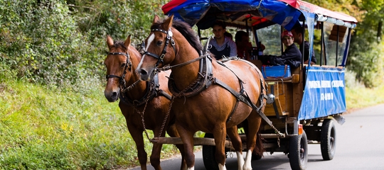 Kutschenfahrt entlang des Doubs
