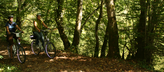 Location E-Bike-E-VTT-Vélo