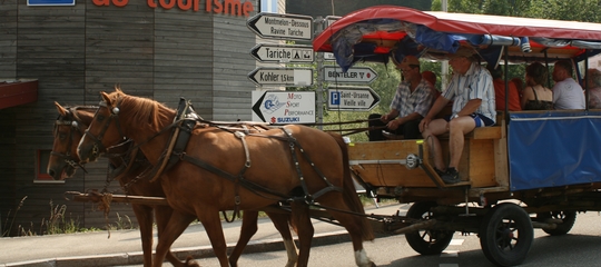 Kutschenfarht duch St-Ursanne