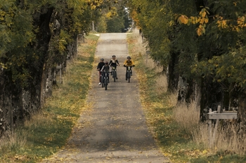 E-VTT-E-bike-Bike